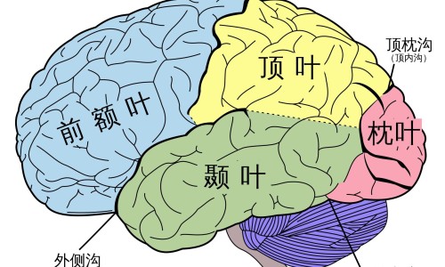 康复询问病人情况网 - 问病人是否康复怎么说,询问病人康复怎么说